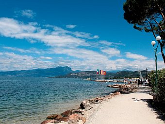 Camping Cisano & San Vito