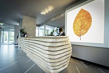 Aqualux Hotel SPA Suite & Terme Bardolino - Rezeption
