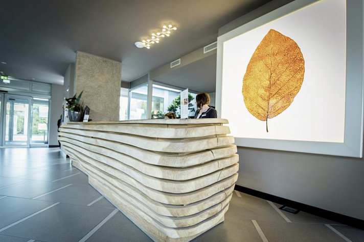 Aqualux Hotel SPA Suite & Terme Bardolino