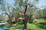 Residence Al Parco