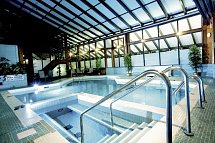 Sandman Hotel Calgary Airport - Pool