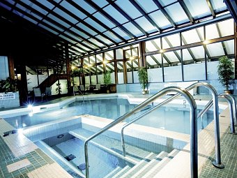 Sandman Hotel Calgary Airport - Pool