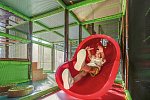 Falkensteiner Club Funimation Borik