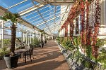 IFA Fehmarn Hotel & Ferien Centrum - Hotel