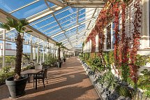 IFA Fehmarn Hotel & Ferien Centrum - Hotel