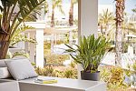 Zafiro Palace Alcudia