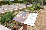 Garden Cala Millor