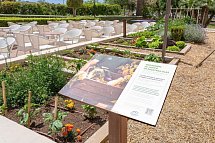 Garden Cala Millor