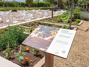 Garden Cala Millor