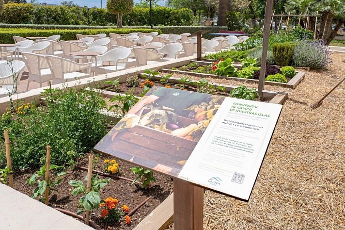 Garden Cala Millor