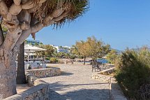 Garden Cala Millor