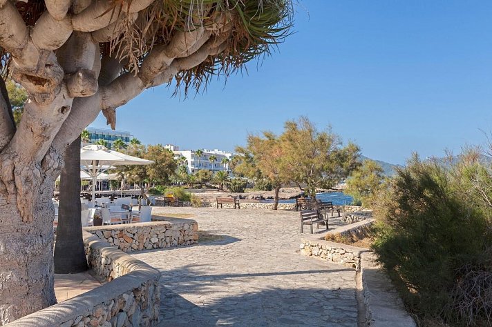 Garden Cala Millor