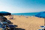 Camping Free Beach (by Happy Camp)