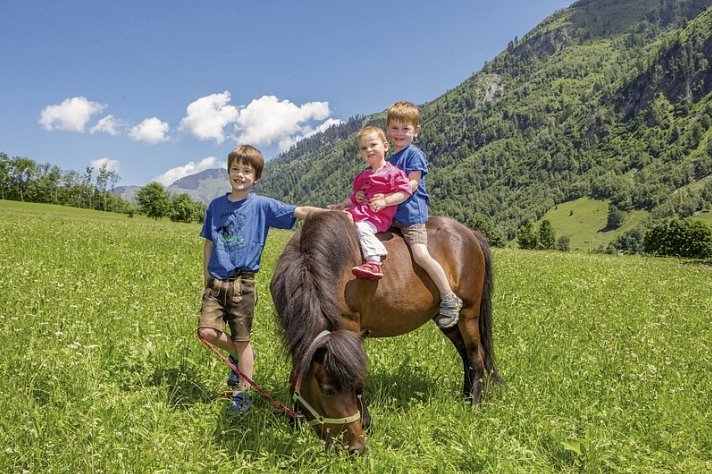 Feriendorf Ponyhof