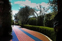 Majesty Bari