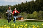 Hotel Schwarz Alm Zwettl