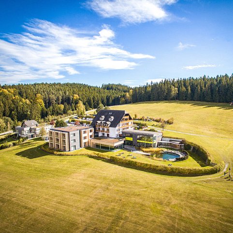 Hotel Schwarz Alm Zwettl
