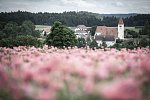 Faulenzerhotel Schweighofer