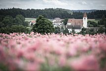 Faulenzerhotel Schweighofer