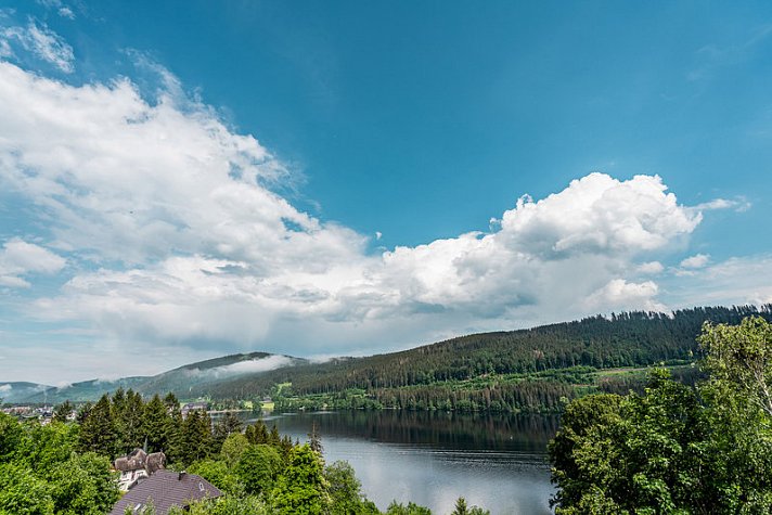 Nature Titisee - Easy Life Hotel