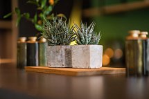 Nature Titisee - Easy Life Hotel