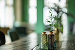 Nature Titisee - Easy Life Hotel