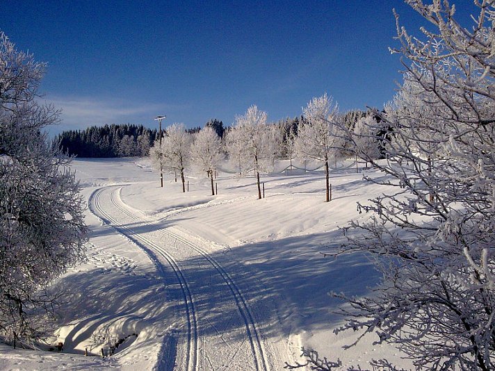 Zur Traube