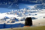 Zur Traube