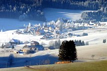 Zur Traube