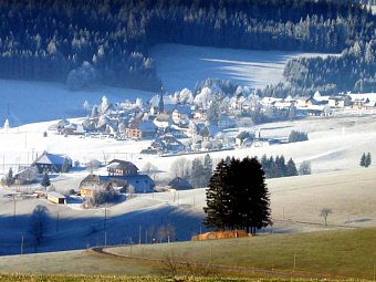 Zur Traube