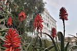 Grand Hotel & Des Anglais