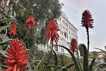 Grand Hotel & Des Anglais