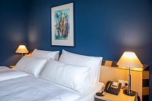 ACHAT Hotel Dresden Elbufer