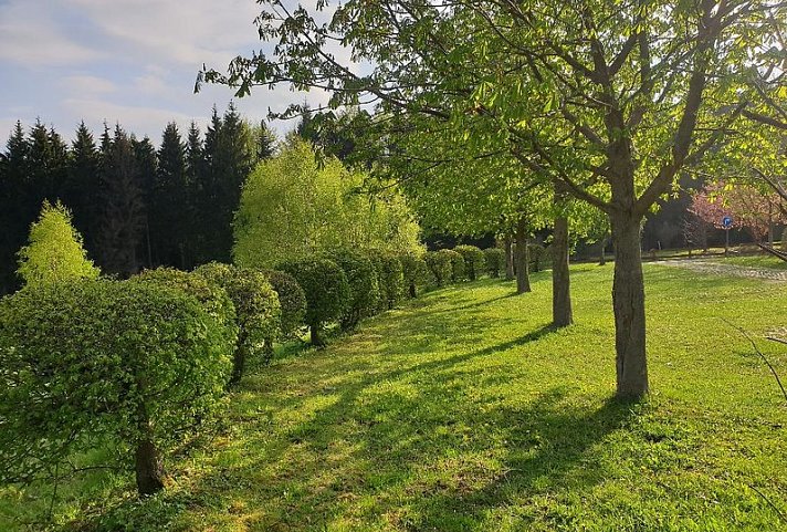 Berghotel Drei Brüder Höhe