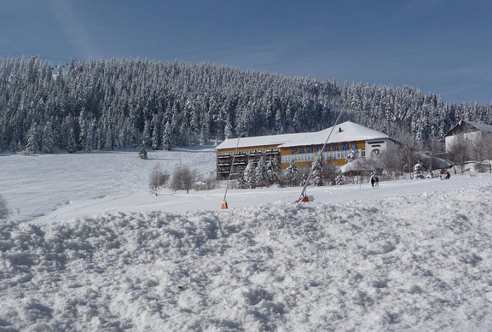 PANORAMA Hotel Oberwiesenthal