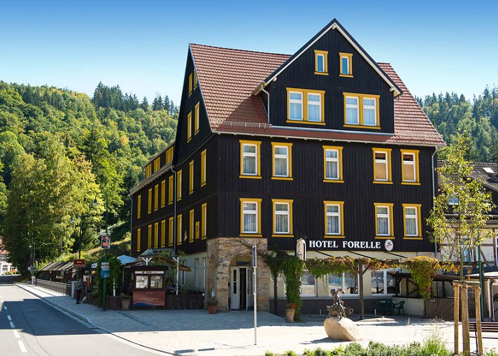 Ferienhotel Forelle