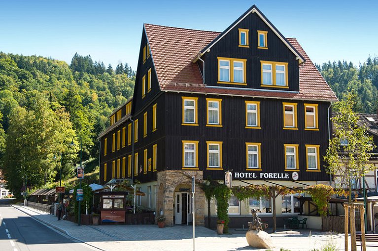 Ferienhotel Forelle