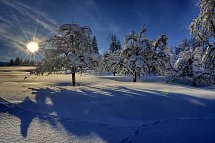 Golf & Alpin Wellness Resort Hotel Ludwig Royal