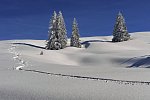 Golf & Alpin Wellness Resort Hotel Ludwig Royal