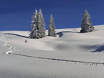 Golf & Alpin Wellness Resort Hotel Ludwig Royal