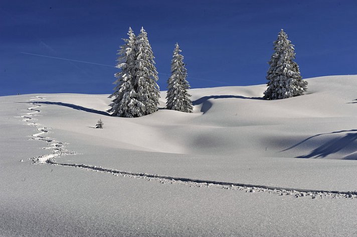 Golf & Alpin Wellness Resort Hotel Ludwig Royal