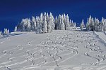 Golf & Alpin Wellness Resort Hotel Ludwig Royal