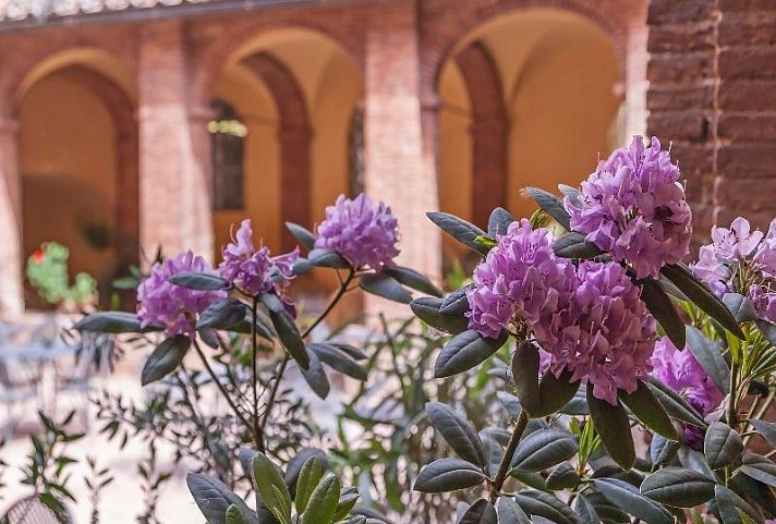 Il Chiostro Del Carmine