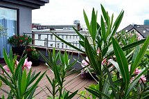 Bristol Hotel