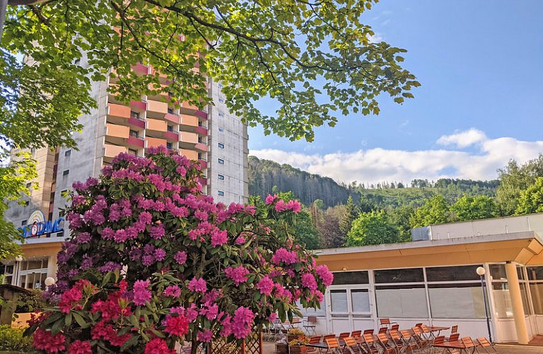 Panoramic - Ihr Aparthotel im Harz