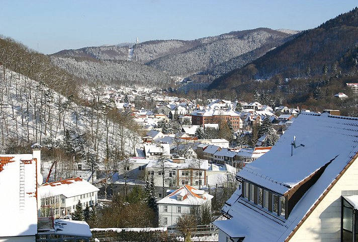 Heikenberg