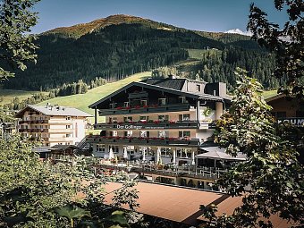 Der Gollinger
