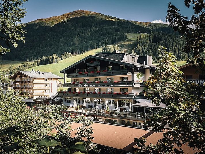 Der Gollinger