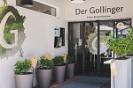 Der Gollinger