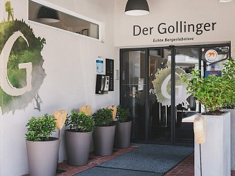 Der Gollinger